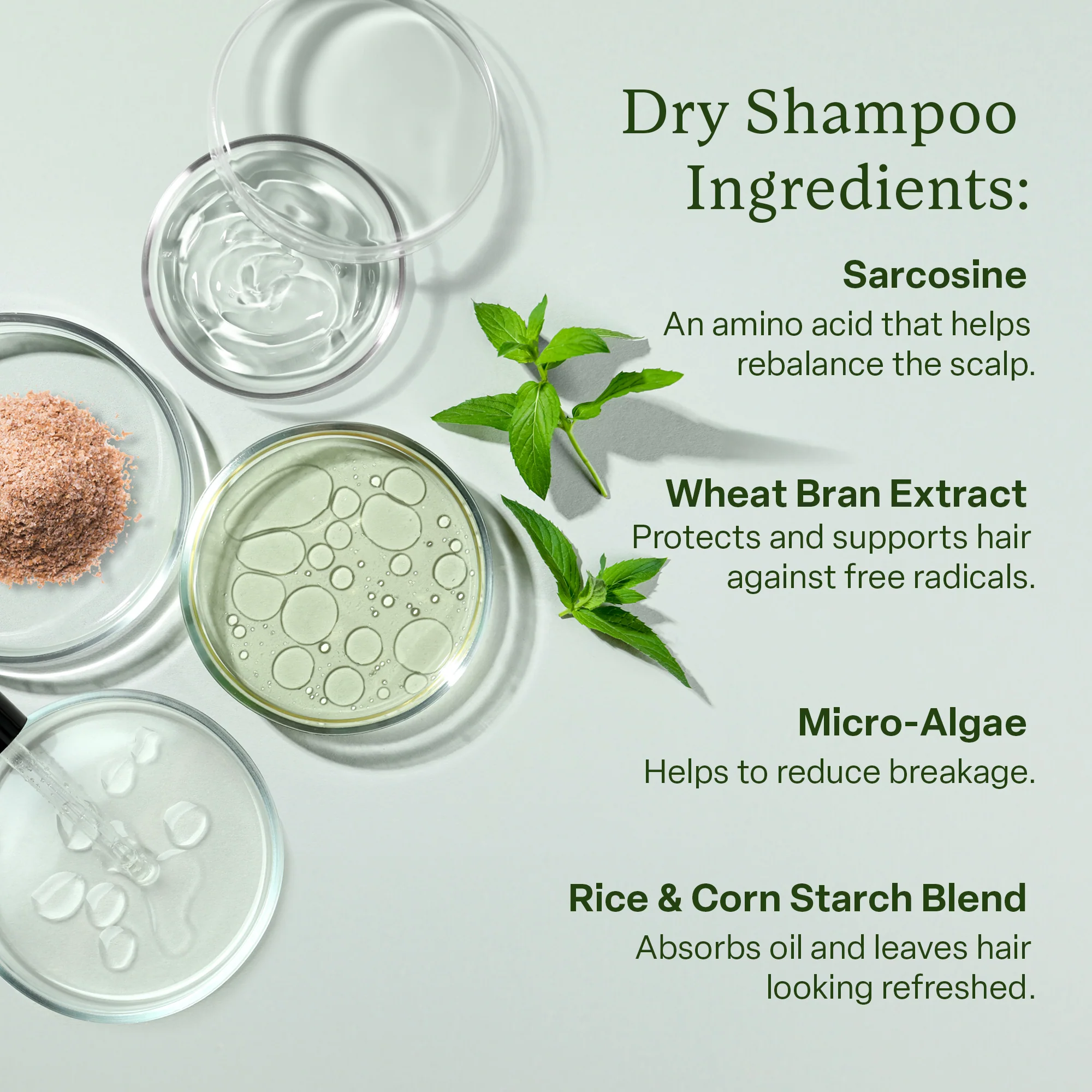 Best Sellers Bundle - Image 11