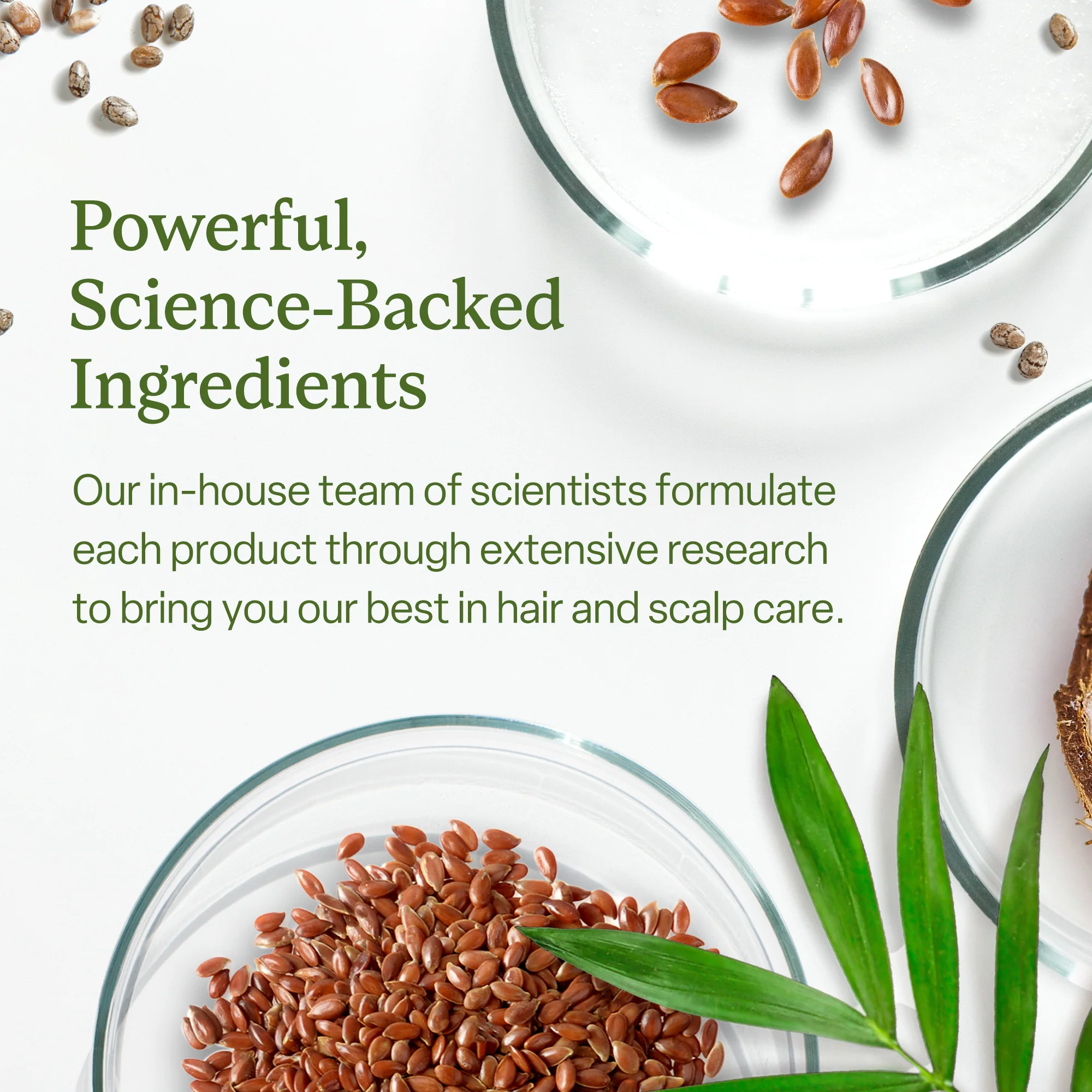 Divi's Discovery Set - Image 10