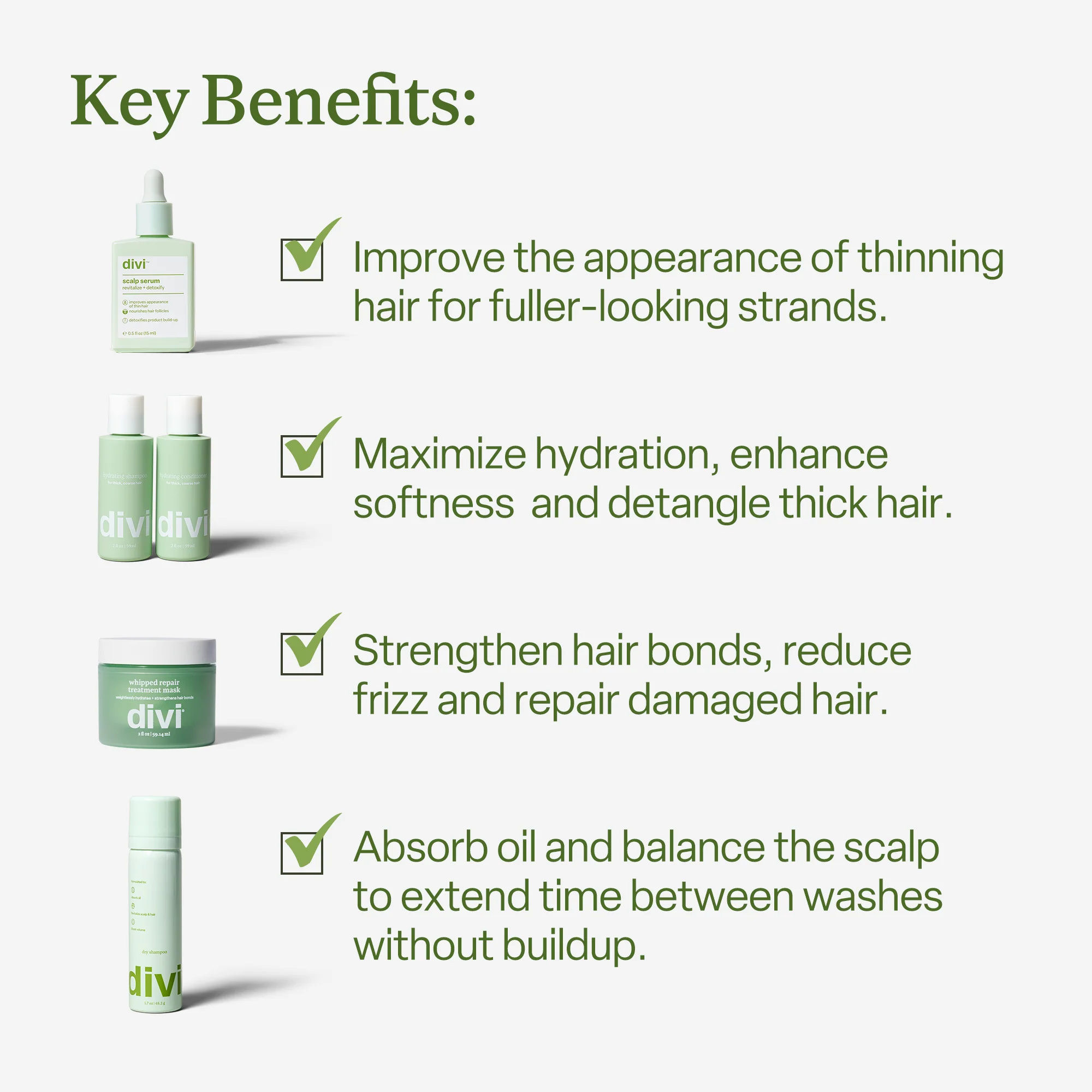 Divi's Discovery Set - Image 13