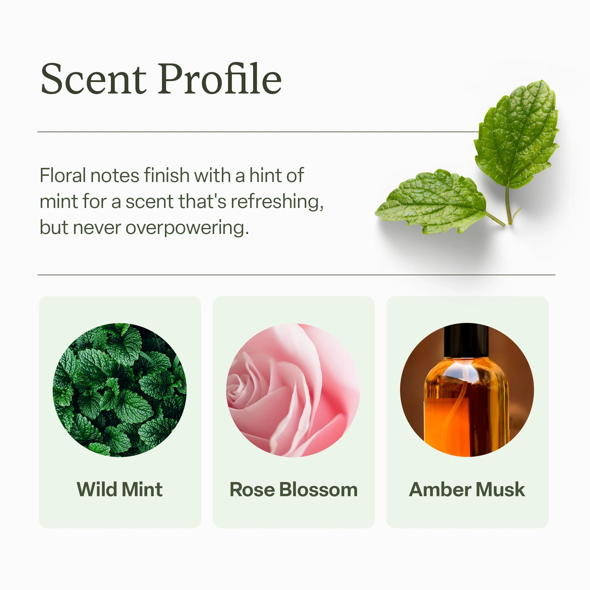 Dry Shampoo - Image 6