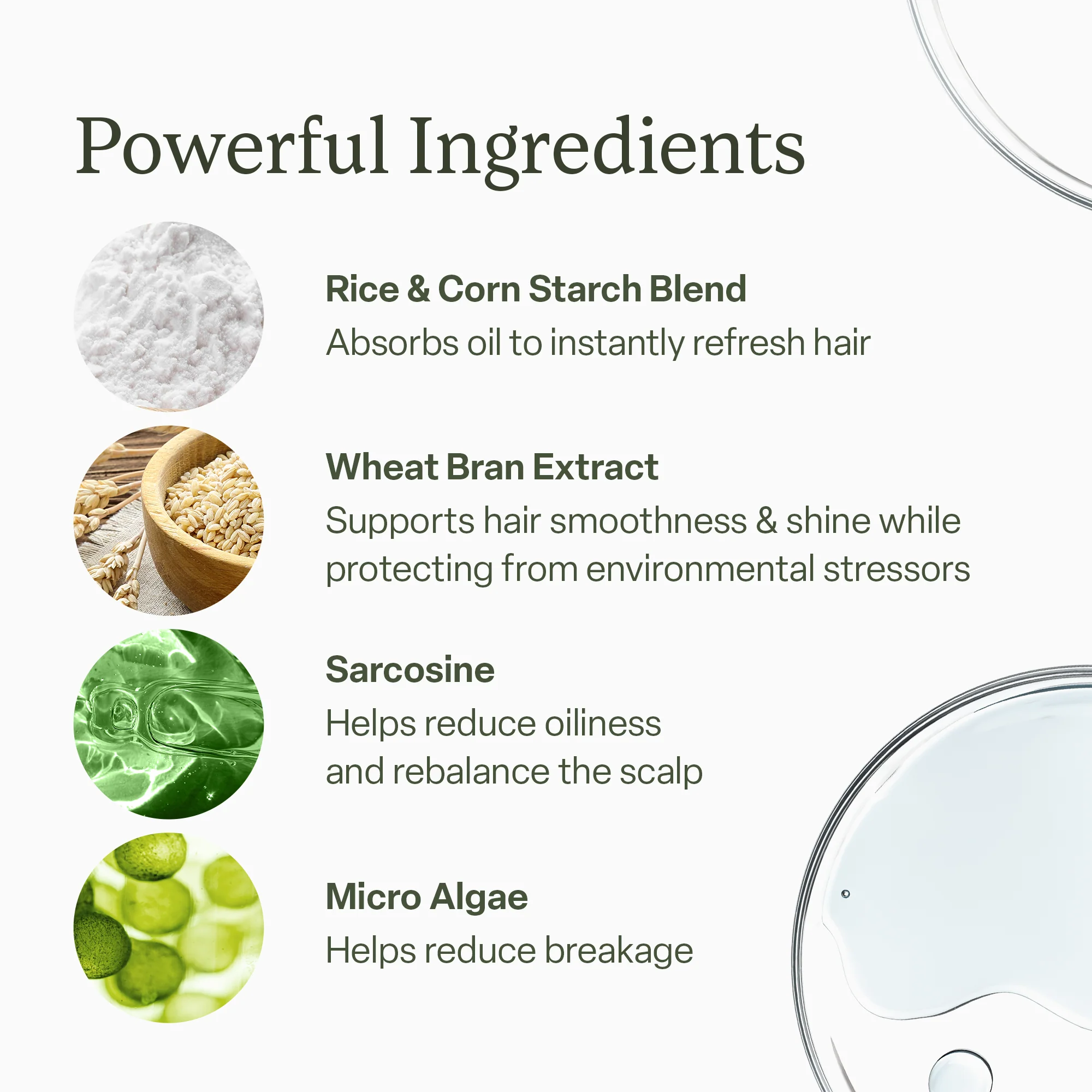 Dry Shampoo - Image 8