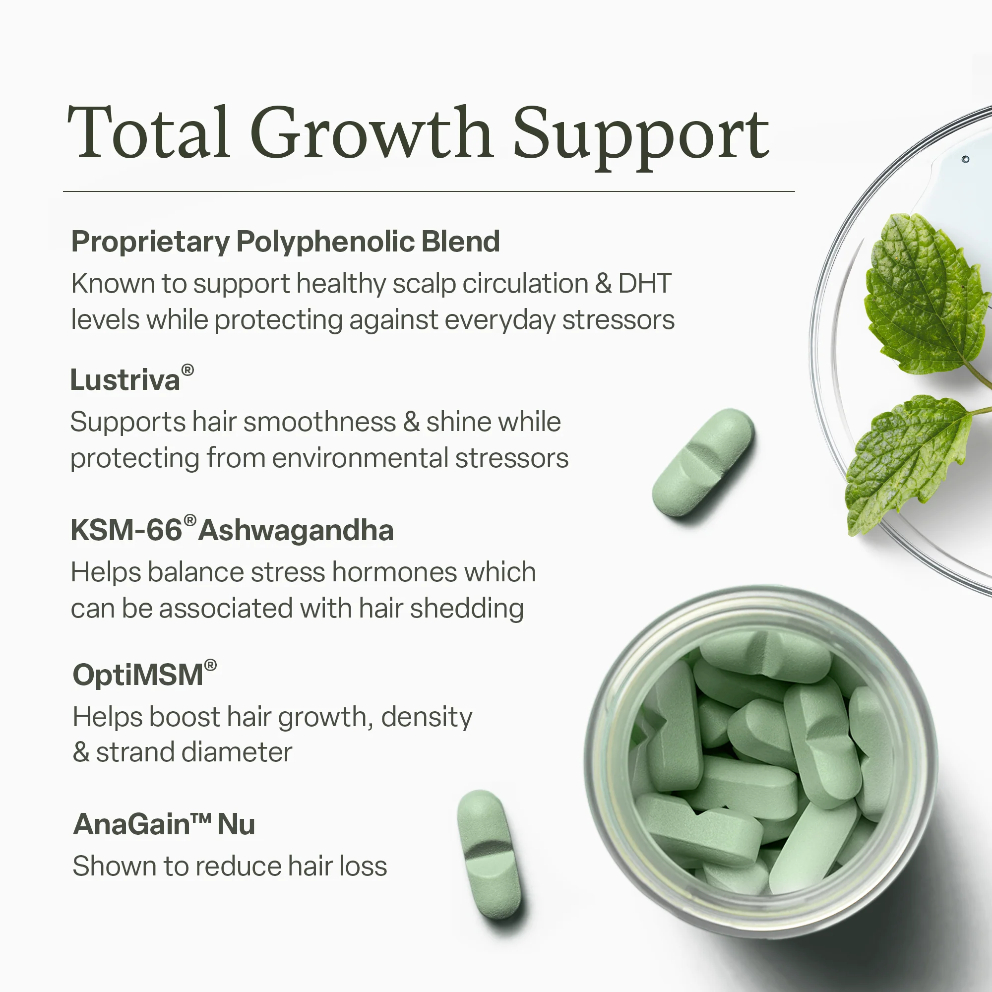 Hair Growth Vitamins - Image 3