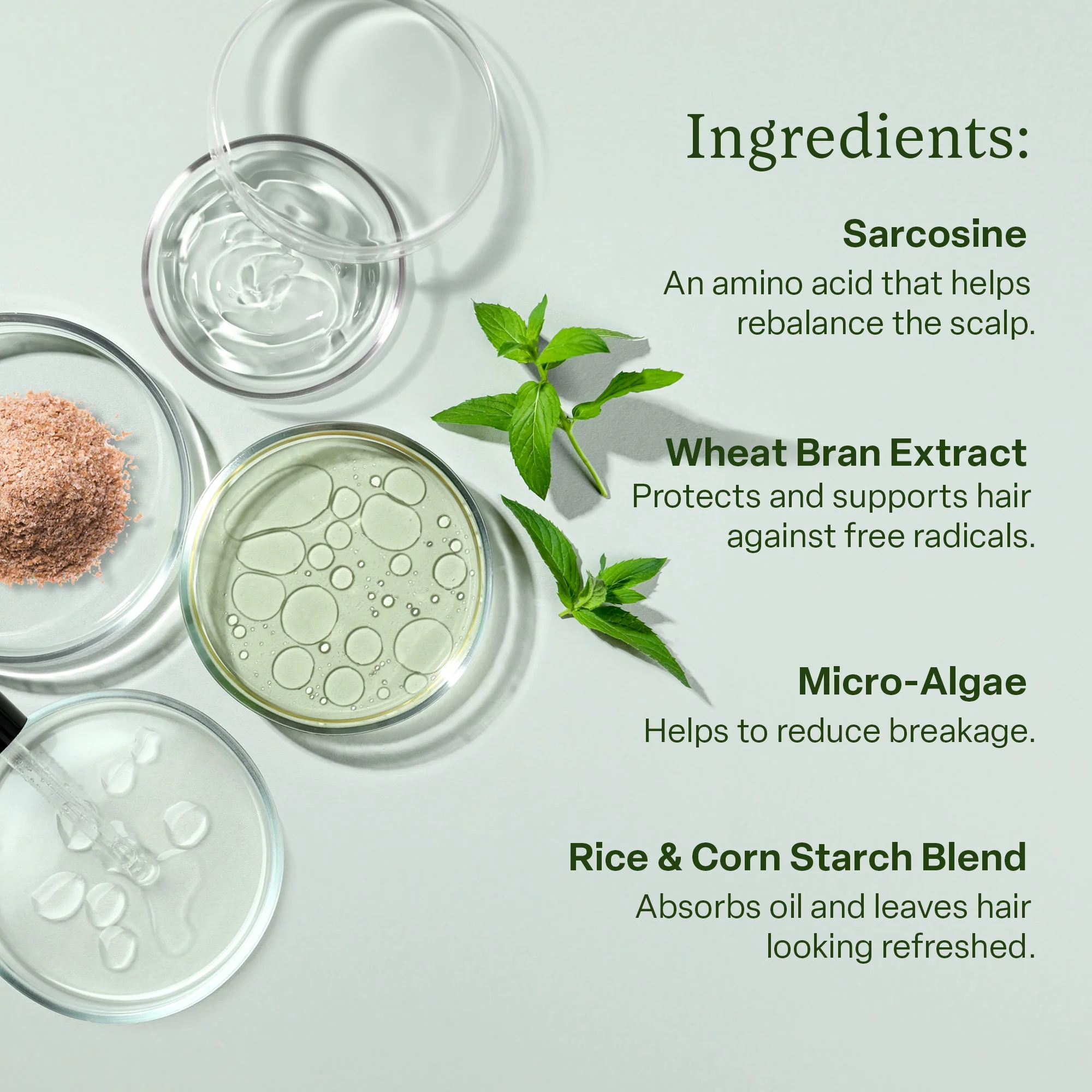 Home & Away Dry Shampoo Bundle - Image 4