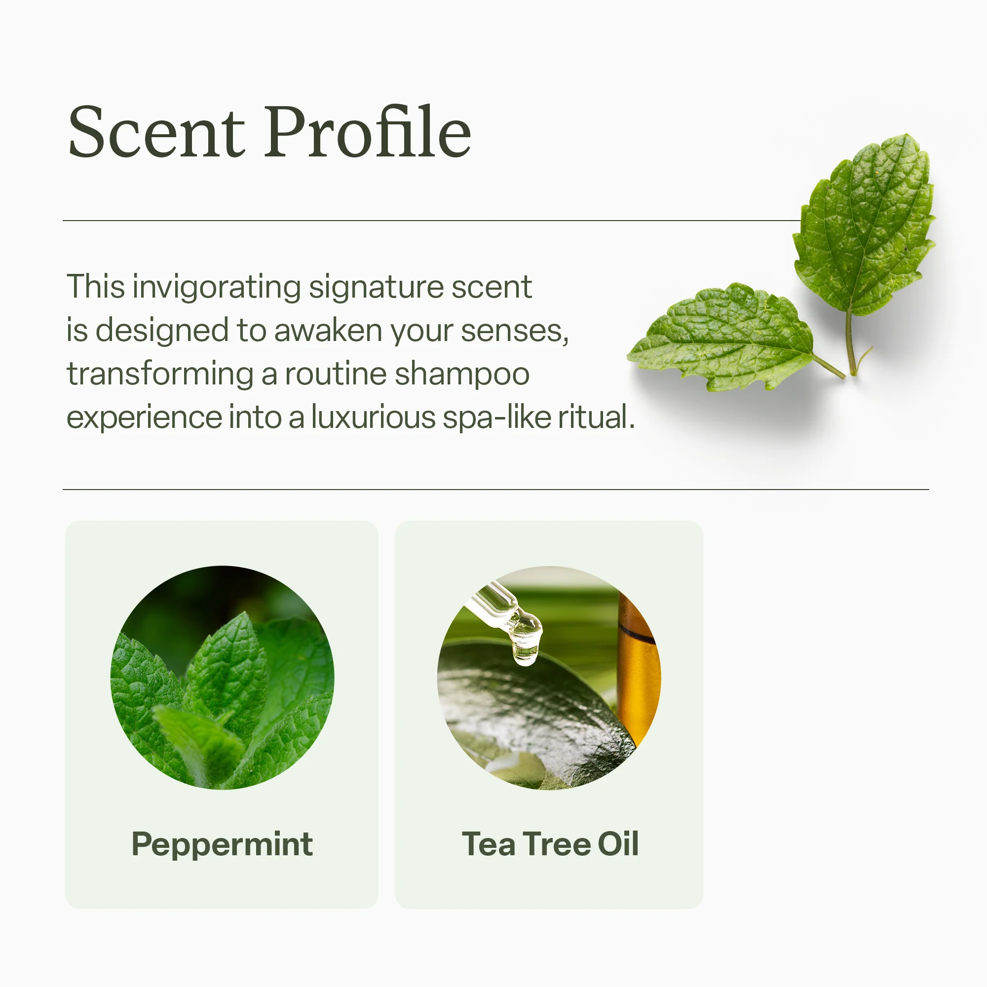 Scalp Reset Shampoo - Image 7