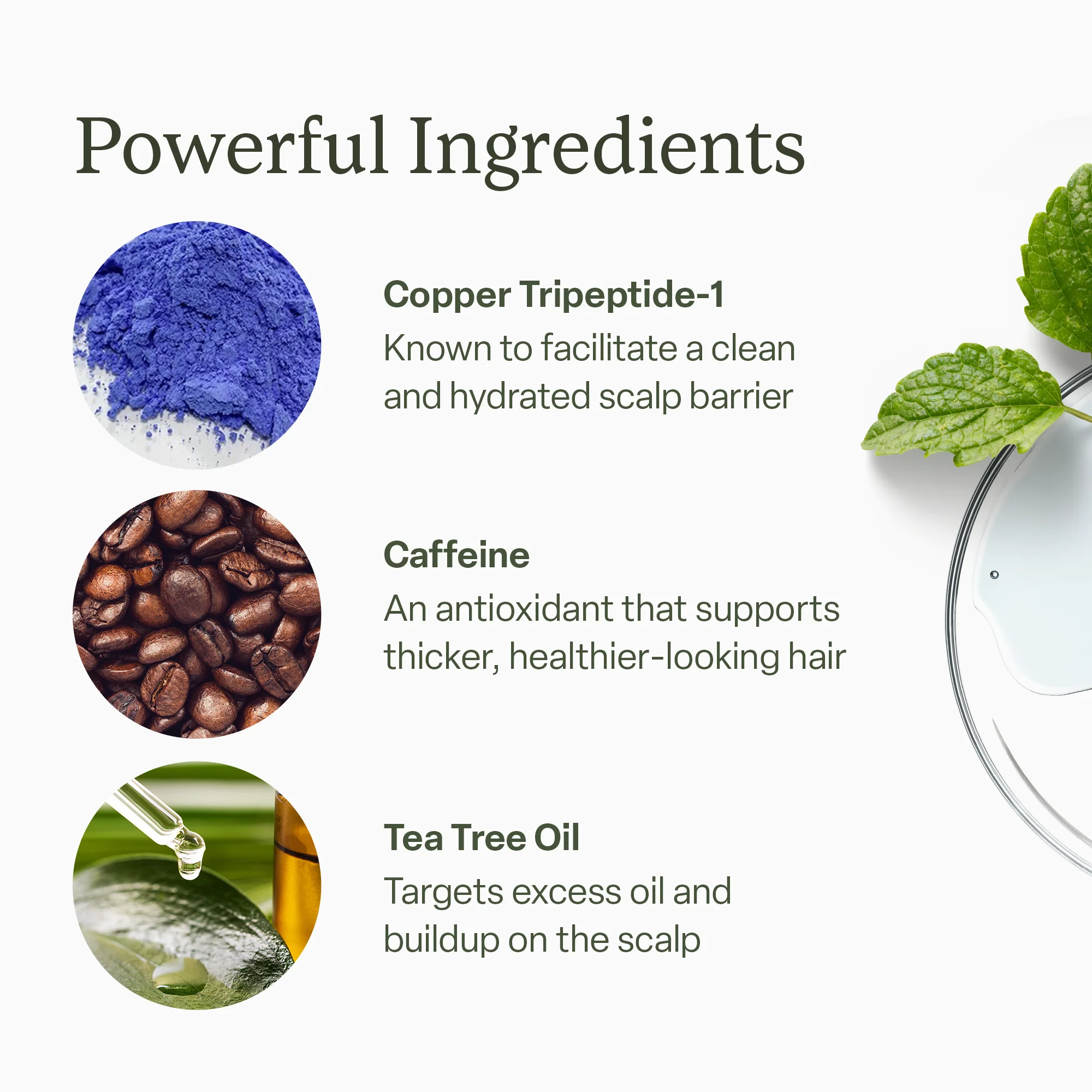 30ml Scalp Serum - Image 8